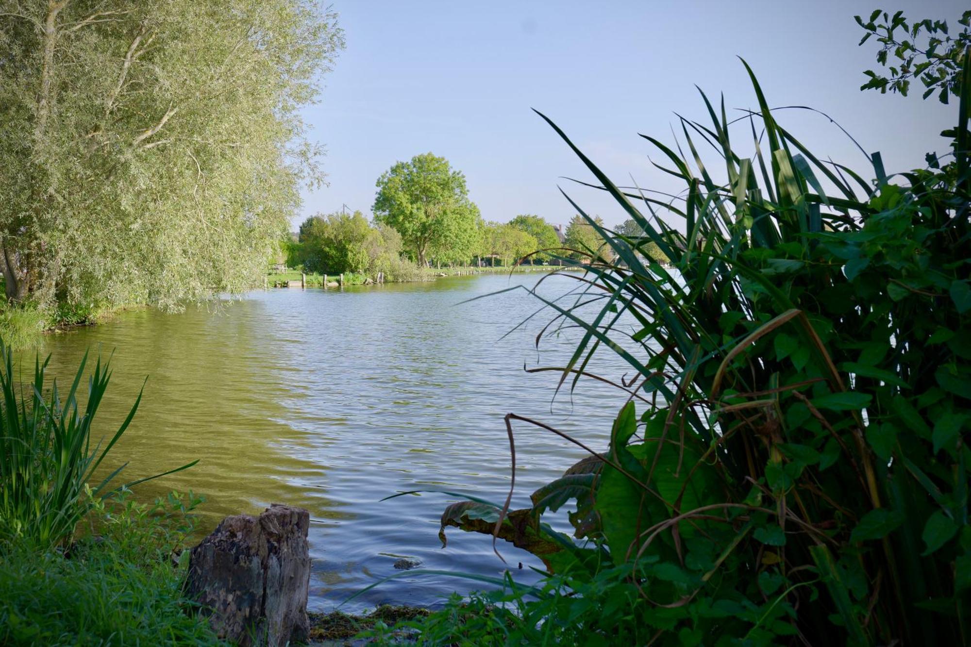 Les Chambres Du Moulin Arleux-du-Nord ภายนอก รูปภาพ