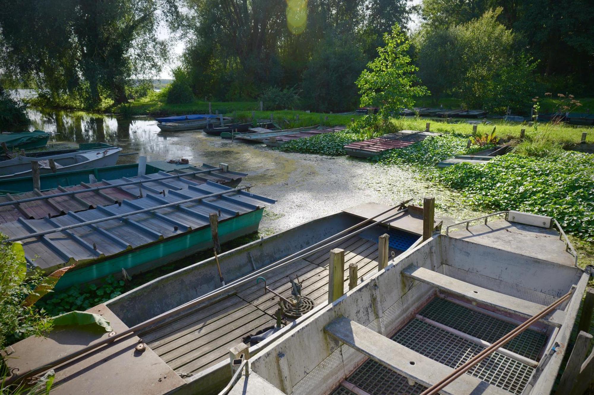 Les Chambres Du Moulin Arleux-du-Nord ภายนอก รูปภาพ